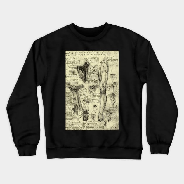 Human Anatomy Leg and Larynx by Leonardo da Vinci Crewneck Sweatshirt by MasterpieceCafe